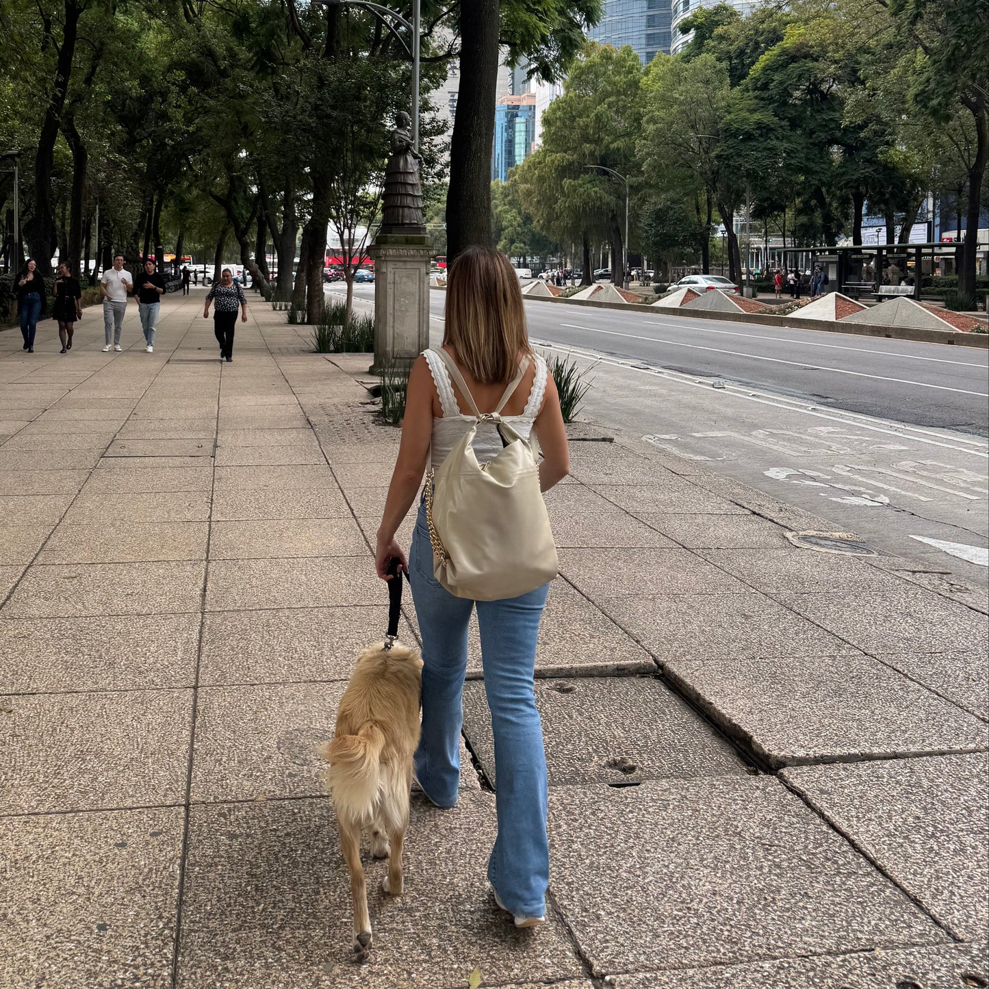 Sofía Tote